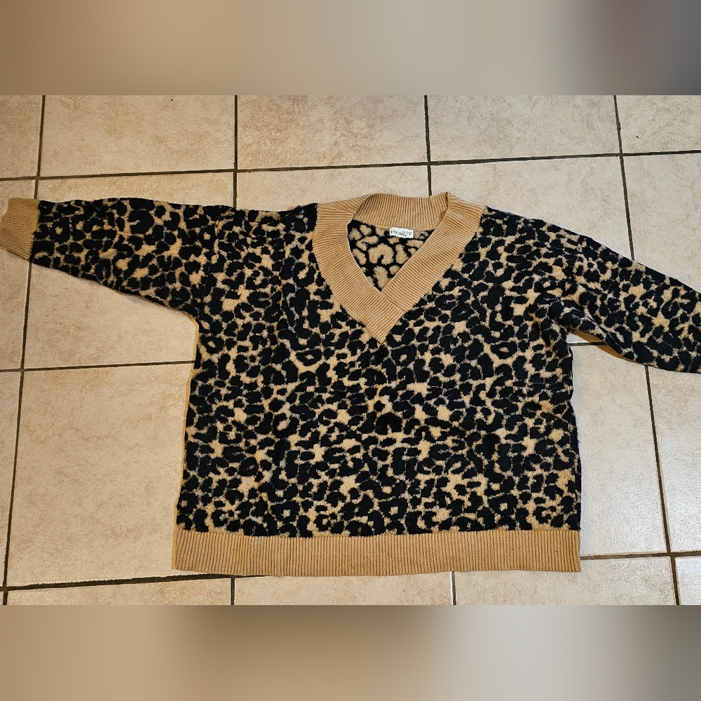 V neck sweater